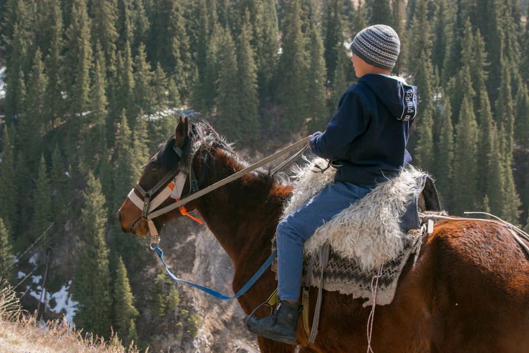 Choosing the Right Saddle: Finding Comfort and Support